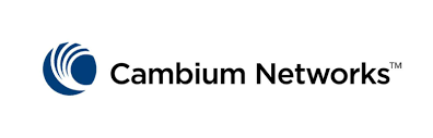 cambium